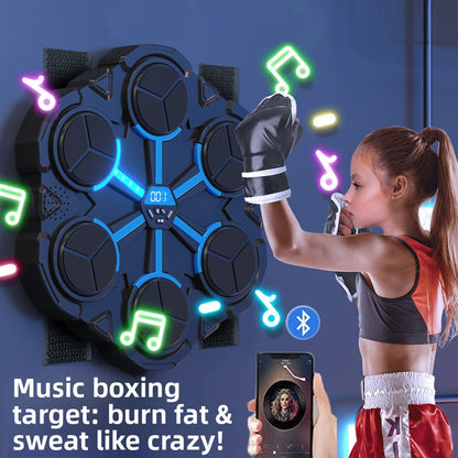 Electronic Boxing Target veloura